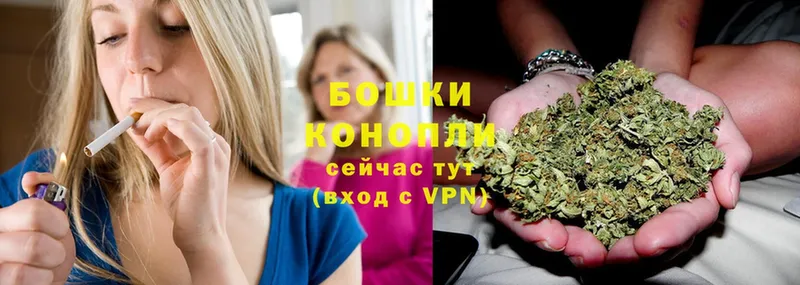 купить наркотики сайты  Новокубанск  Шишки марихуана OG Kush 